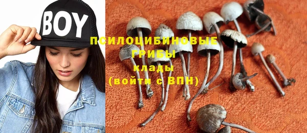 эйфоретик Абинск