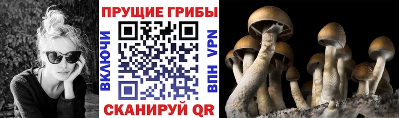 Галлюциногенные грибы ЛСД  купить наркотики цена  Тетюши 